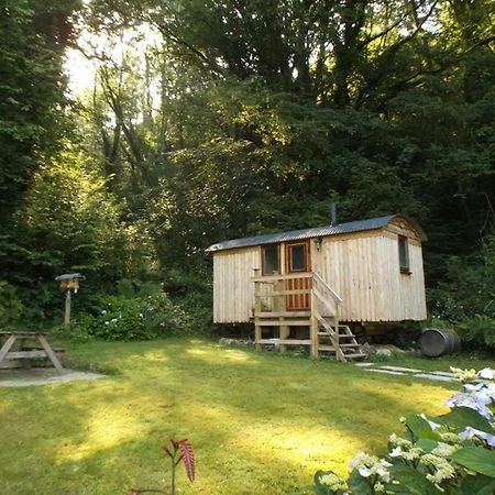 'Morris' The Shepherd'S Hut With Woodland Hot Tub Carmarthen Luaran gambar