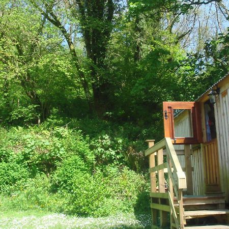 'Morris' The Shepherd'S Hut With Woodland Hot Tub Carmarthen Luaran gambar