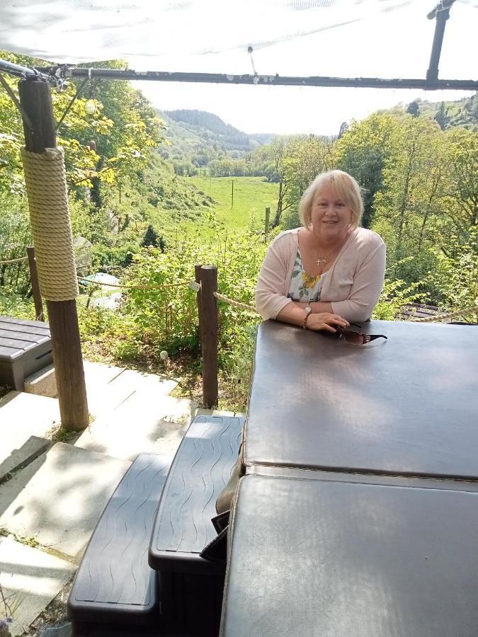 'Morris' The Shepherd'S Hut With Woodland Hot Tub Carmarthen Luaran gambar