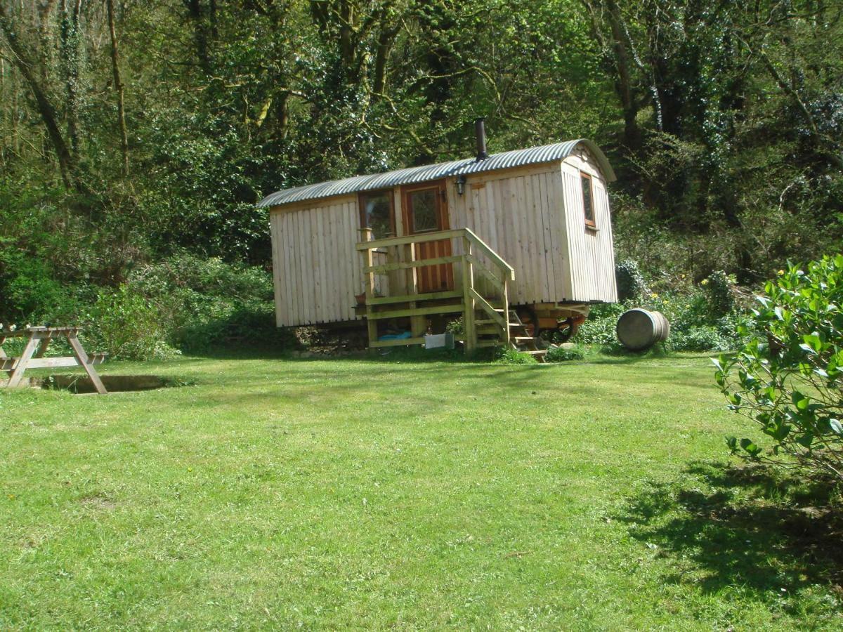 'Morris' The Shepherd'S Hut With Woodland Hot Tub Carmarthen Luaran gambar