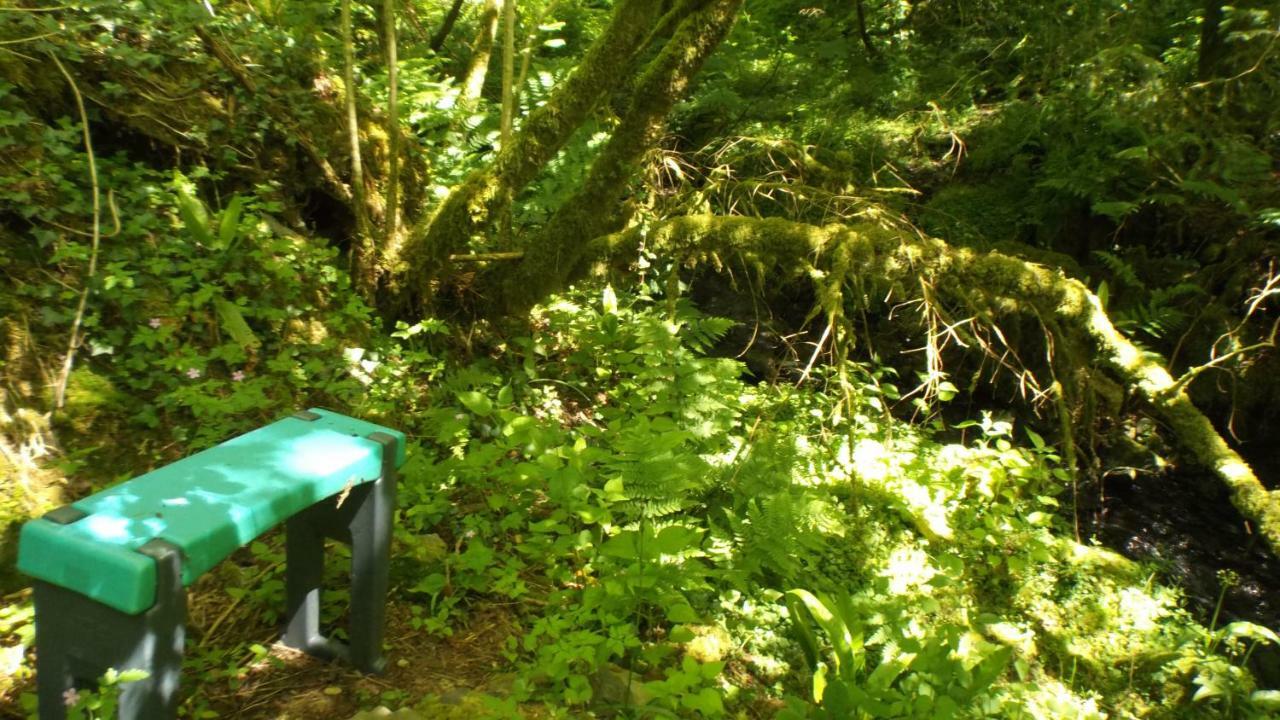 'Morris' The Shepherd'S Hut With Woodland Hot Tub Carmarthen Luaran gambar