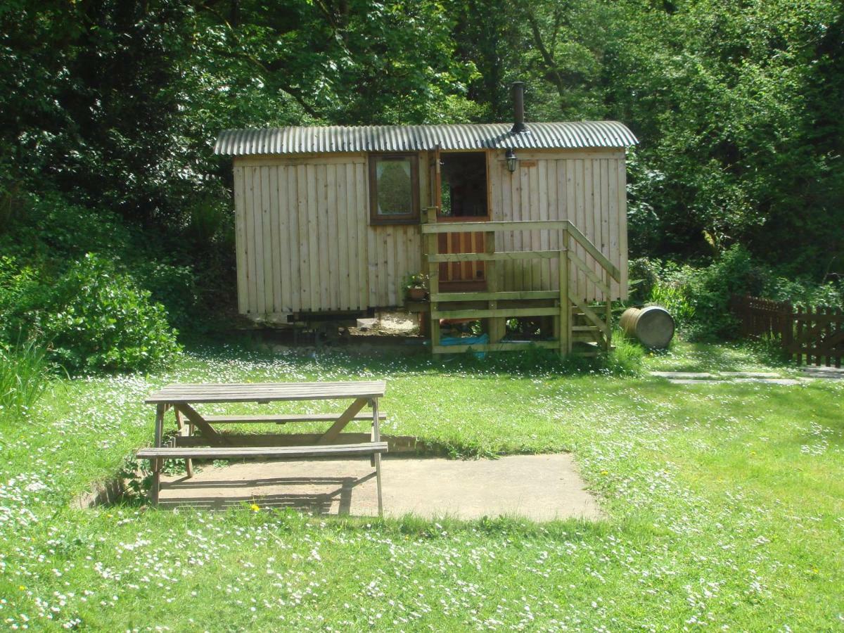 'Morris' The Shepherd'S Hut With Woodland Hot Tub Carmarthen Luaran gambar