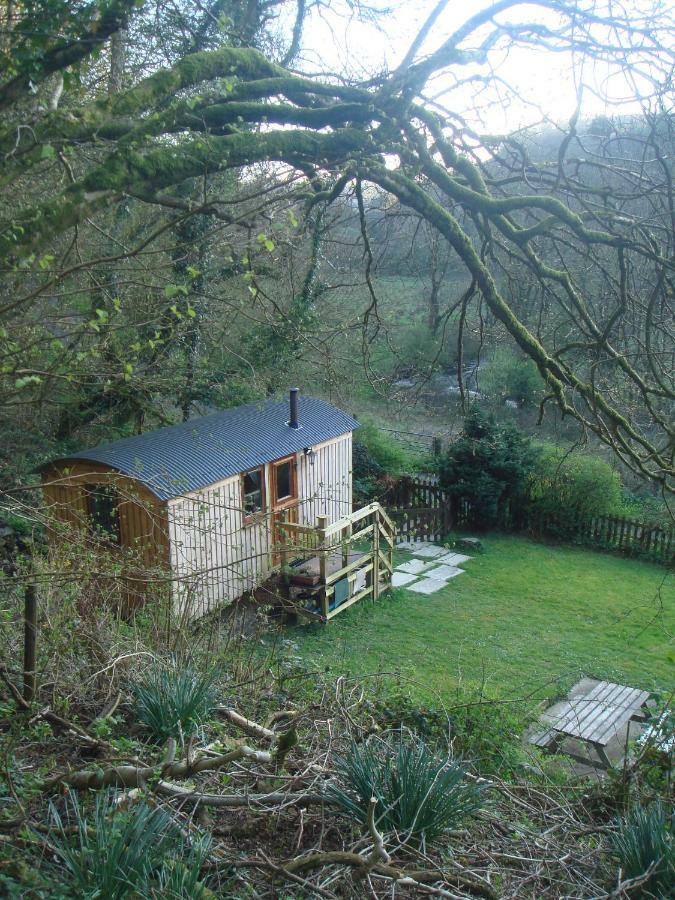 'Morris' The Shepherd'S Hut With Woodland Hot Tub Carmarthen Luaran gambar