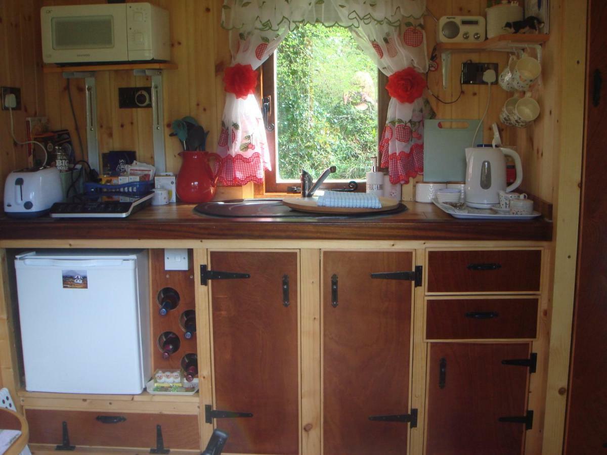 'Morris' The Shepherd'S Hut With Woodland Hot Tub Carmarthen Luaran gambar