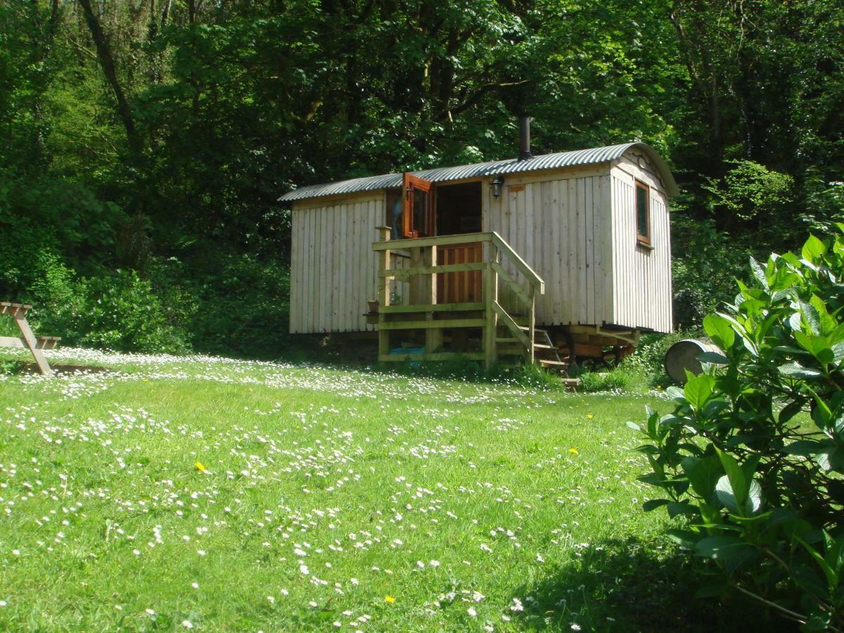 'Morris' The Shepherd'S Hut With Woodland Hot Tub Carmarthen Luaran gambar