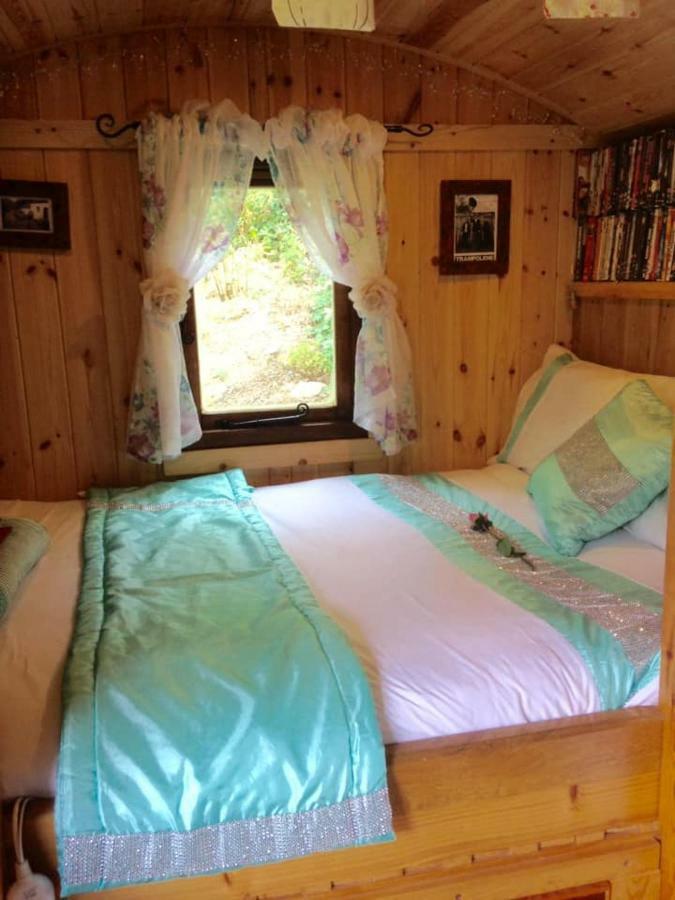 'Morris' The Shepherd'S Hut With Woodland Hot Tub Carmarthen Luaran gambar