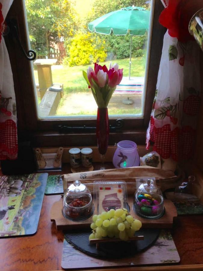 'Morris' The Shepherd'S Hut With Woodland Hot Tub Carmarthen Luaran gambar