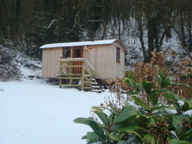 'Morris' The Shepherd'S Hut With Woodland Hot Tub Carmarthen Luaran gambar