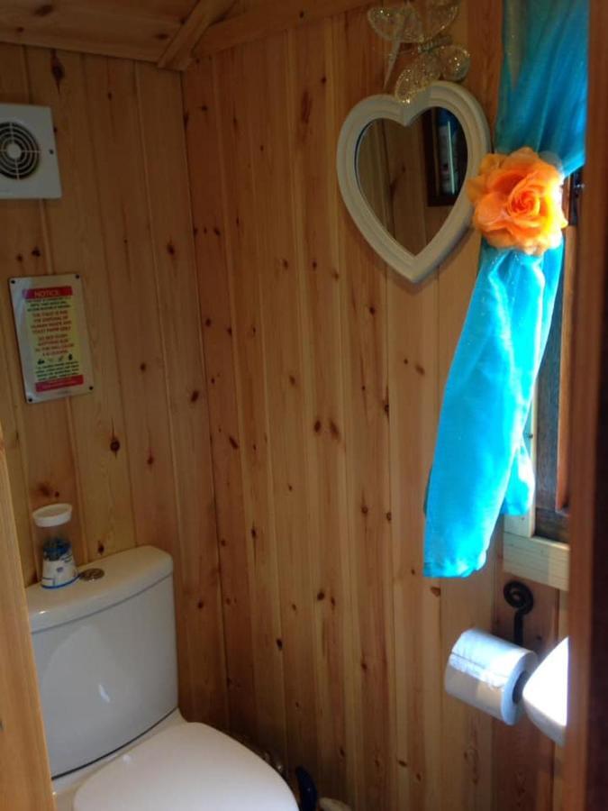 'Morris' The Shepherd'S Hut With Woodland Hot Tub Carmarthen Luaran gambar